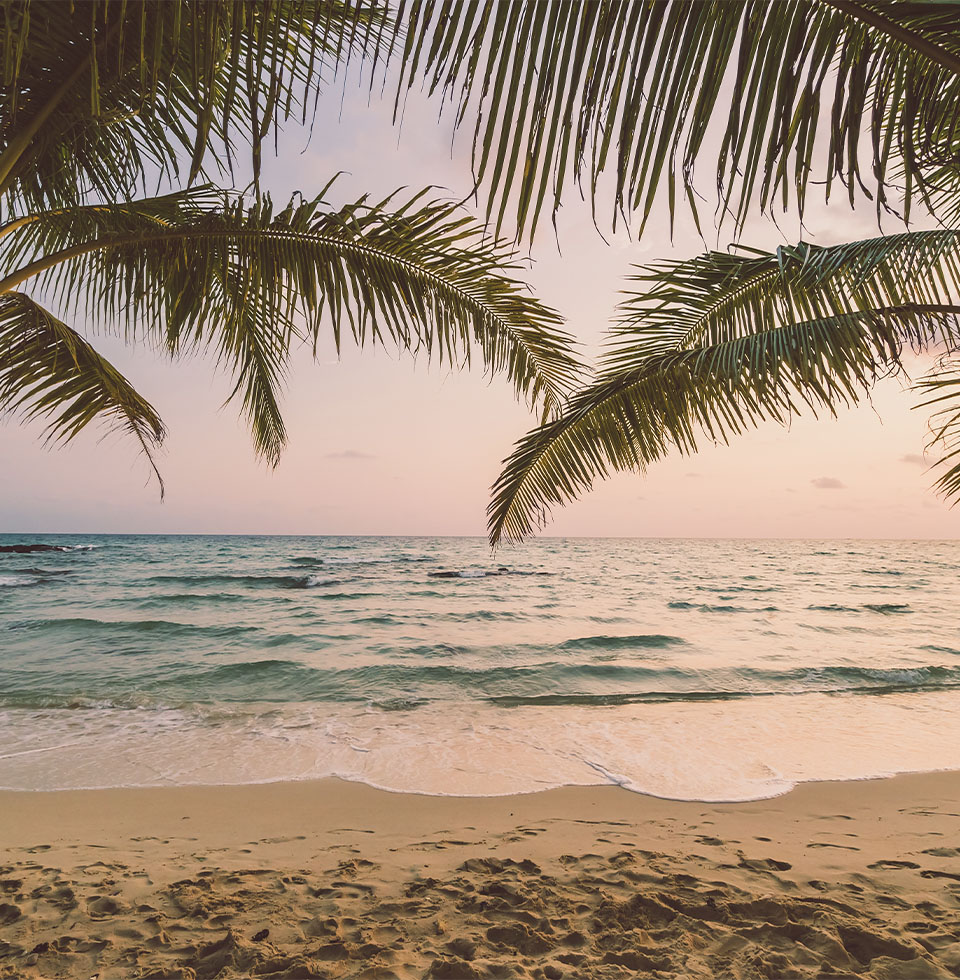 verao